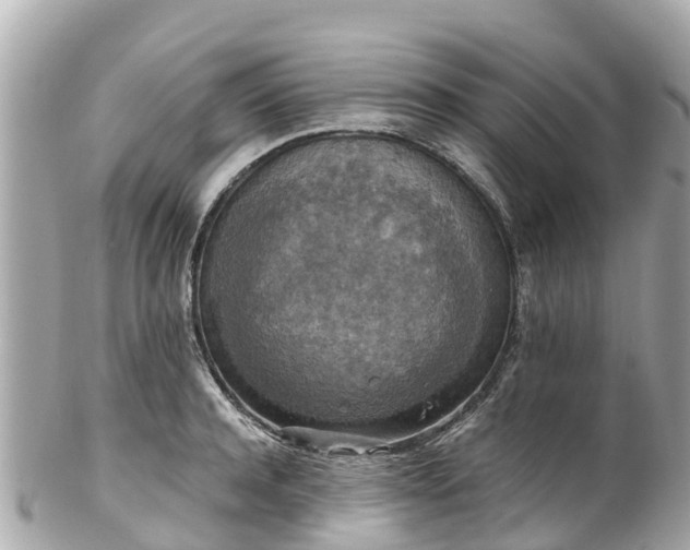 X0000102510944200808151543