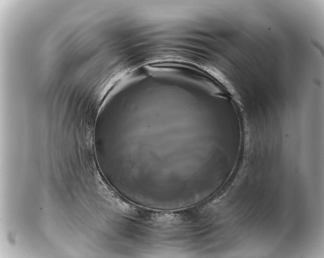 X0000102510945200808151543