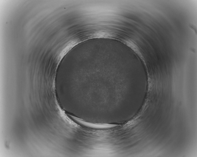 X0000102510946200808151543