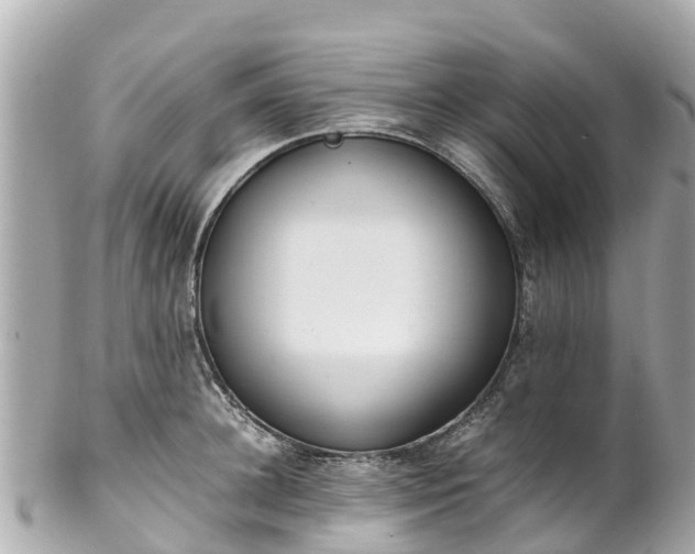 X0000102510948200808151543