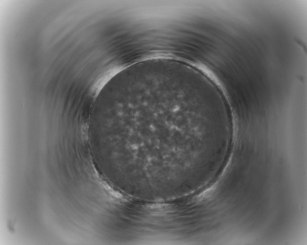 X0000102510953200808151543