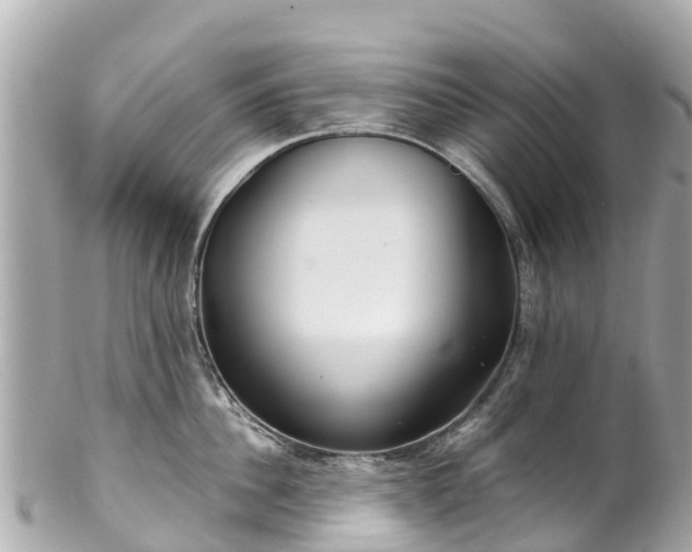 X0000102510956200808151543