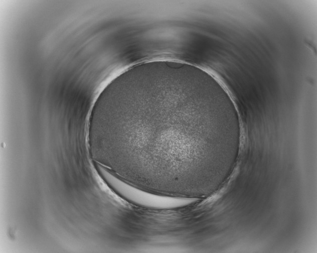 X0000102510957200808151543
