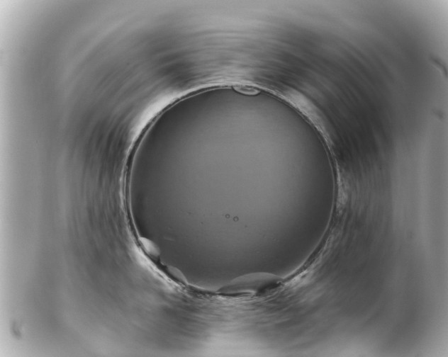 X0000102510958200808151543
