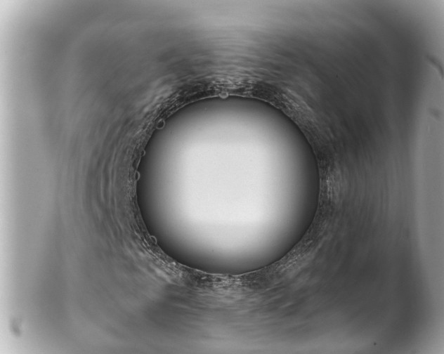 X0000102510961200808151542