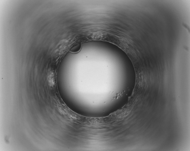 X0000102510962200808151542