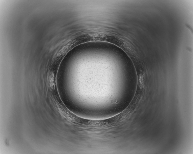 X0000102510963200808151542