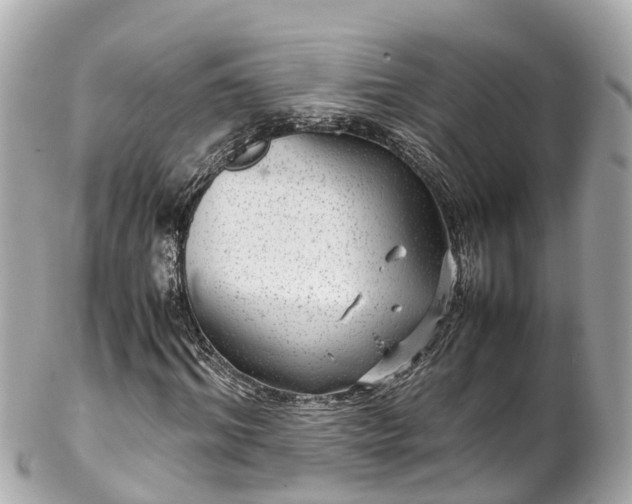 X0000102510964200808151542