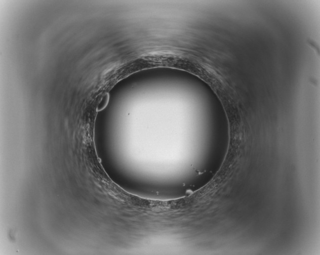X0000102510965200808151542
