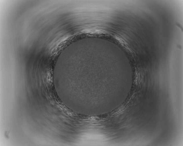 X0000102510966200808151542