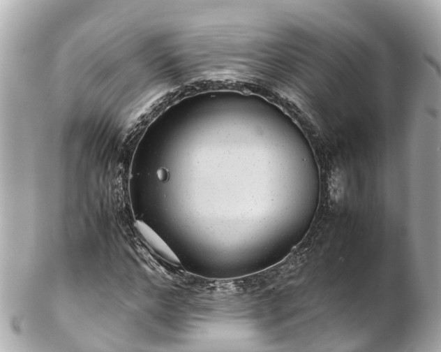 X0000102510968200808151542