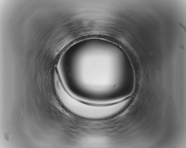 X0000102510969200808151542