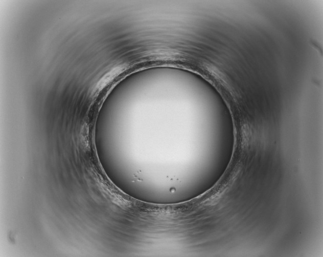X0000102510970200808151542