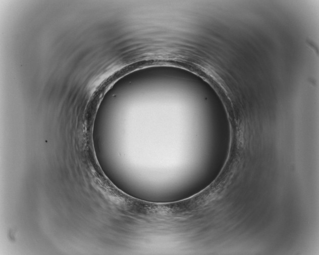 X0000102510971200808151542