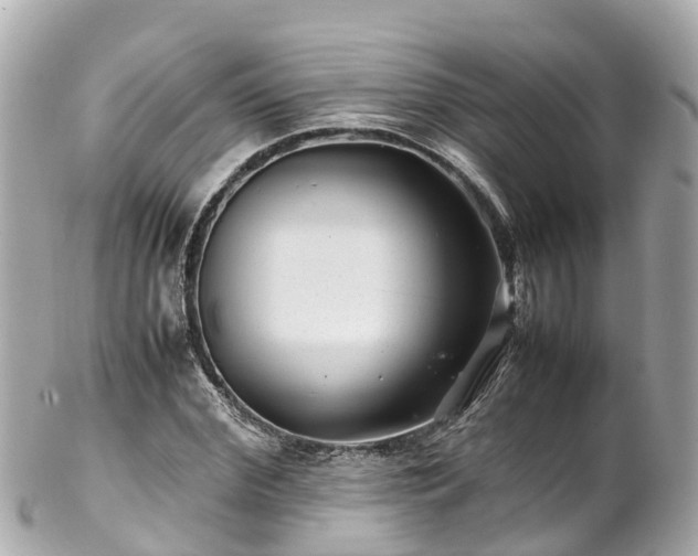 X0000102510972200808151542