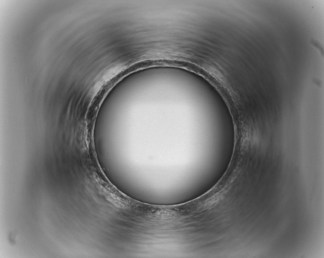 X0000102510974200808151542