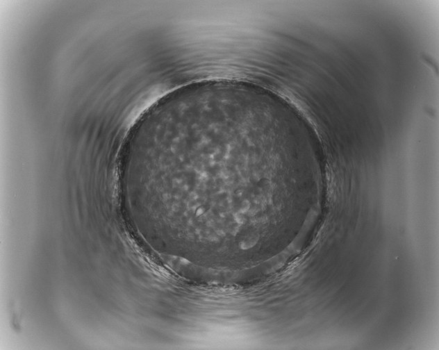 X0000102510975200808151542