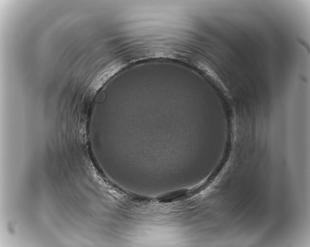 X0000102510977200808151542