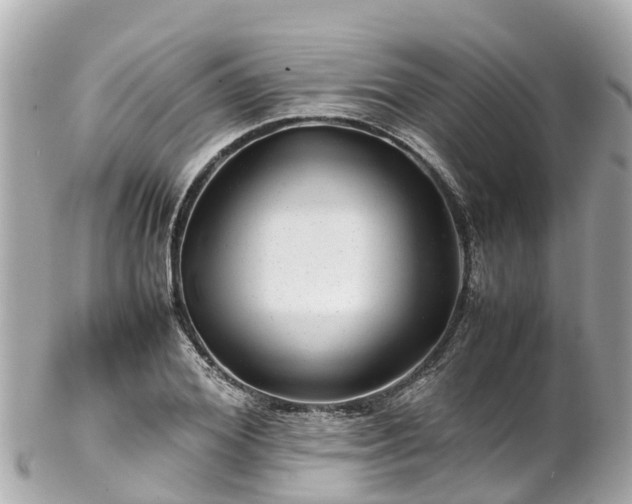X0000102510980200808151542