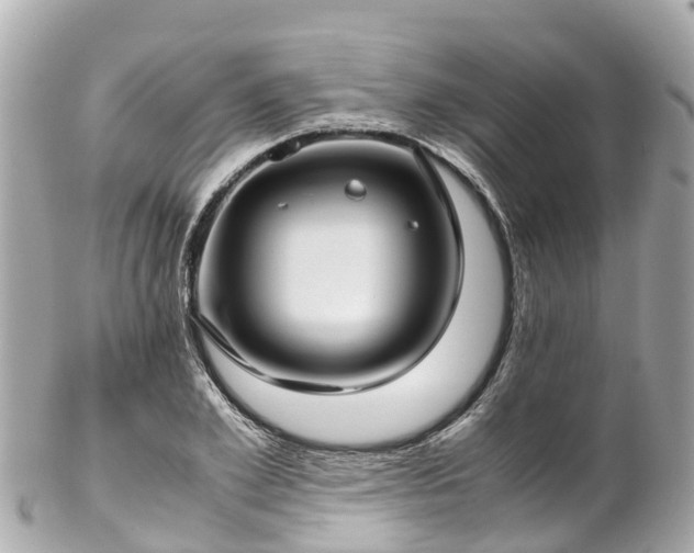 X0000102510981200808151542