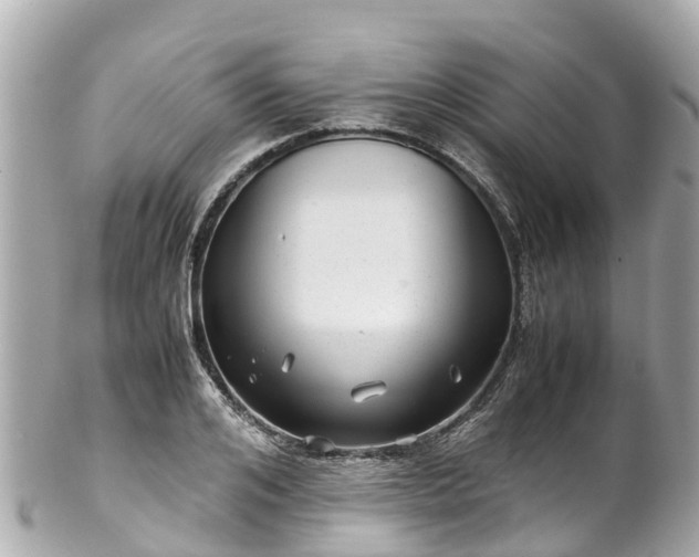 X0000102510984200808151542