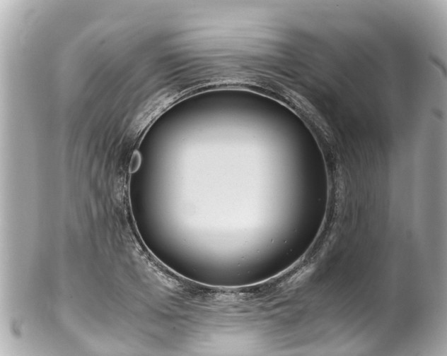 X0000102510985200808151542