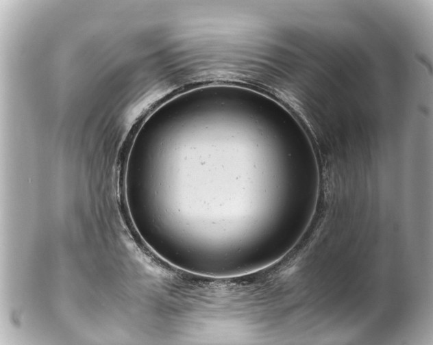 X0000102510987200808151542