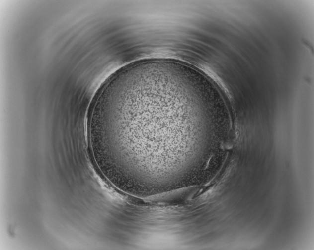 X0000102510988200808151542