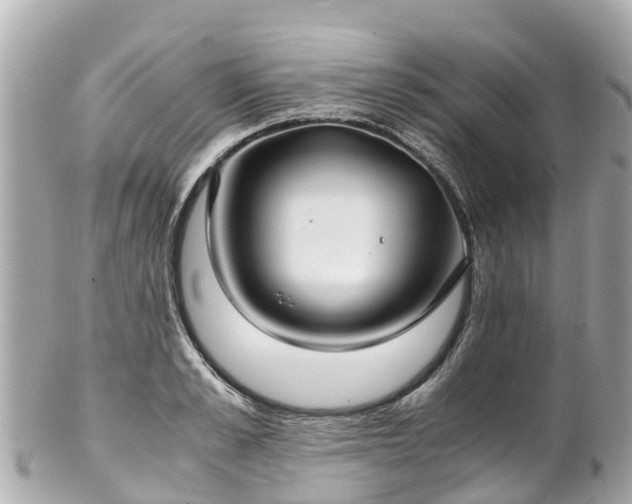 X0000102510989200808151542