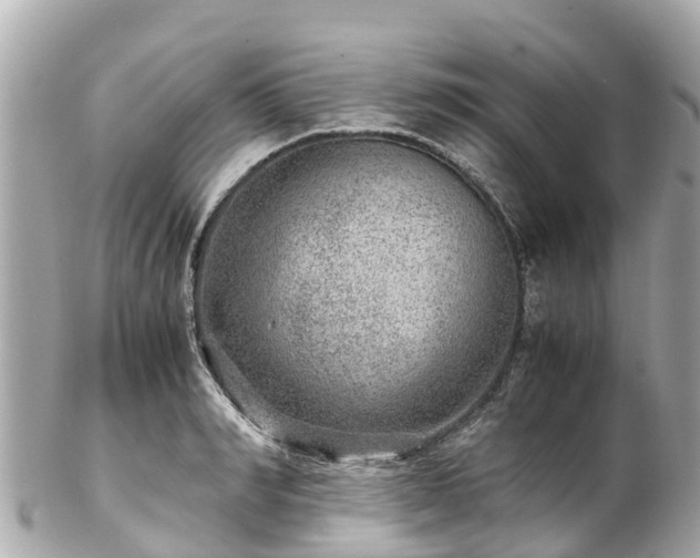 X0000102510990200808151542