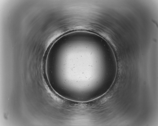 X0000102510991200808151542