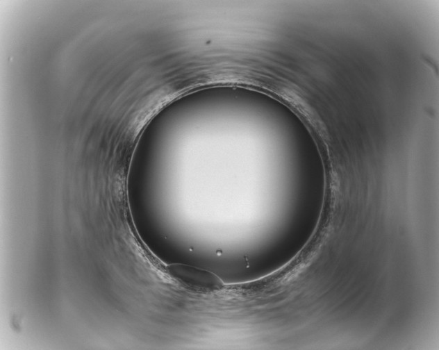 X0000102510993200808151542