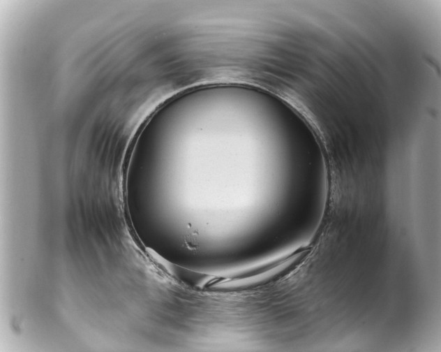 X0000102510996200808151542