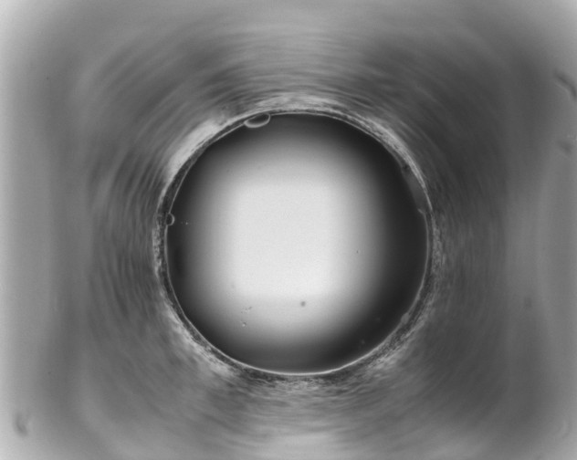 X0000102510997200808151542