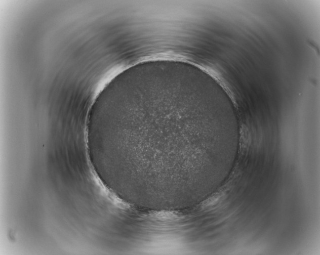 X0000102510998200808151542