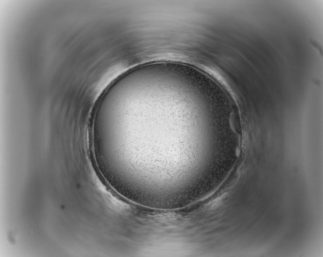 X0000102510999200808151542