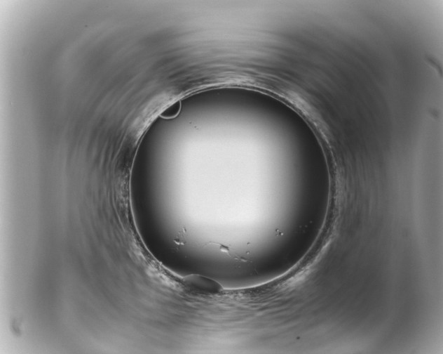 X0000102511001200808151542
