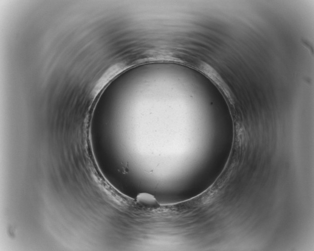 X0000102511002200808151542