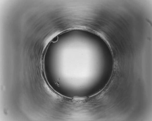 X0000102511003200808151542