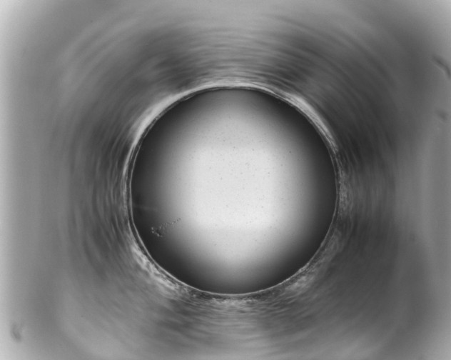 X0000102511004200808151542