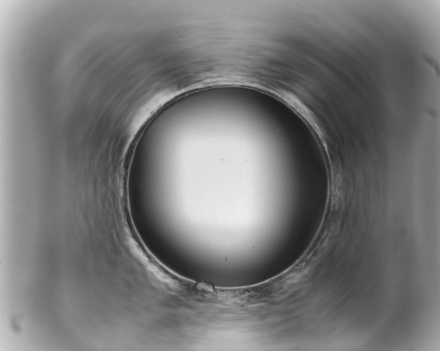X0000102511005200808151541