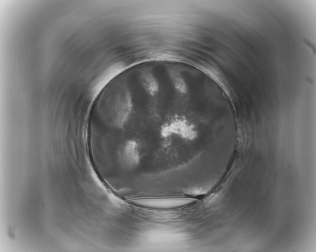 X0000102511007200808151541
