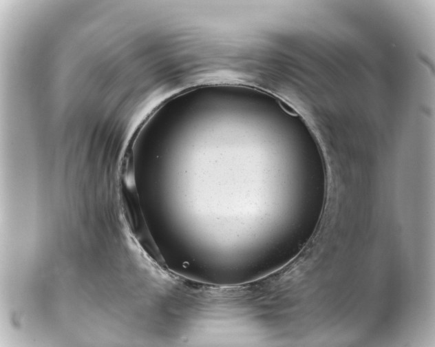X0000102511008200808151541