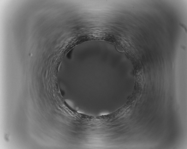 X0000102511009200808151541