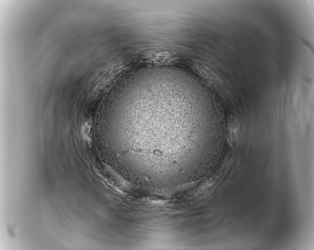 X0000102511010200808151541
