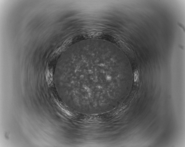 X0000102511011200808151541