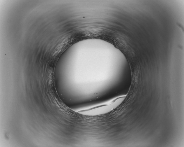 X0000102511012200808151541