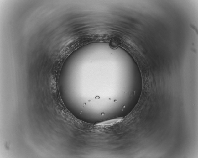 X0000102511013200808151541