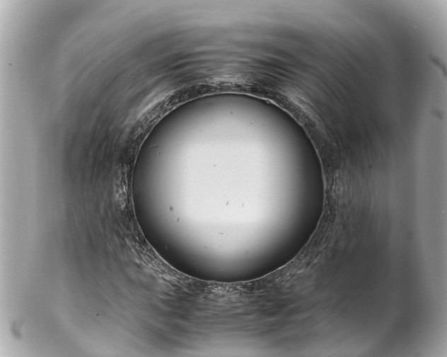 X0000102511015200808151541
