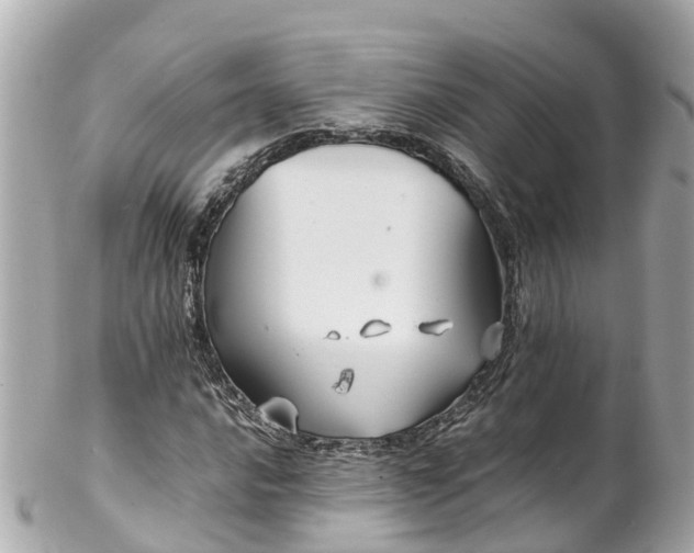 X0000102511016200808151541